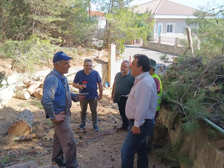 Ξεκίνησε το έργο θωράκισης στο βουνό του Κατακόλου