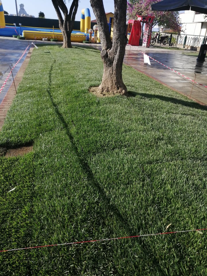 Η πόλη πιο πράσινη, πιο χρωματιστή, πιο όμορφη από ποτέ! 27 Η πόλη πιο πράσινη, πιο χρωματιστή, πιο όμορφη από ποτέ!