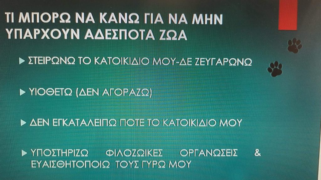Δήμος Πύργου: Δράσεις ευαισθητοποίησης για τα αδέσποτα ζώα 25 Δήμος Πύργου: Δράσεις ευαισθητοποίησης για τα αδέσποτα ζώα