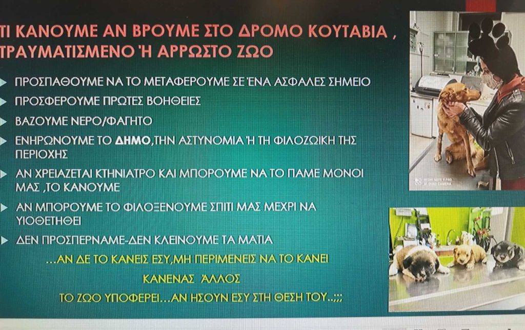 Δήμος Πύργου: Δράσεις ευαισθητοποίησης για τα αδέσποτα ζώα 28 Δήμος Πύργου: Δράσεις ευαισθητοποίησης για τα αδέσποτα ζώα