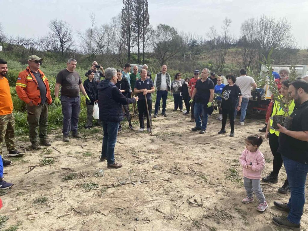 Χανάκια: 1.000 νέα δέντρα για ένα πράσινο μέλλον 31 Χανάκια: 1.000 νέα δέντρα για ένα πράσινο μέλλον